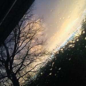 Meet your Posher, Bella